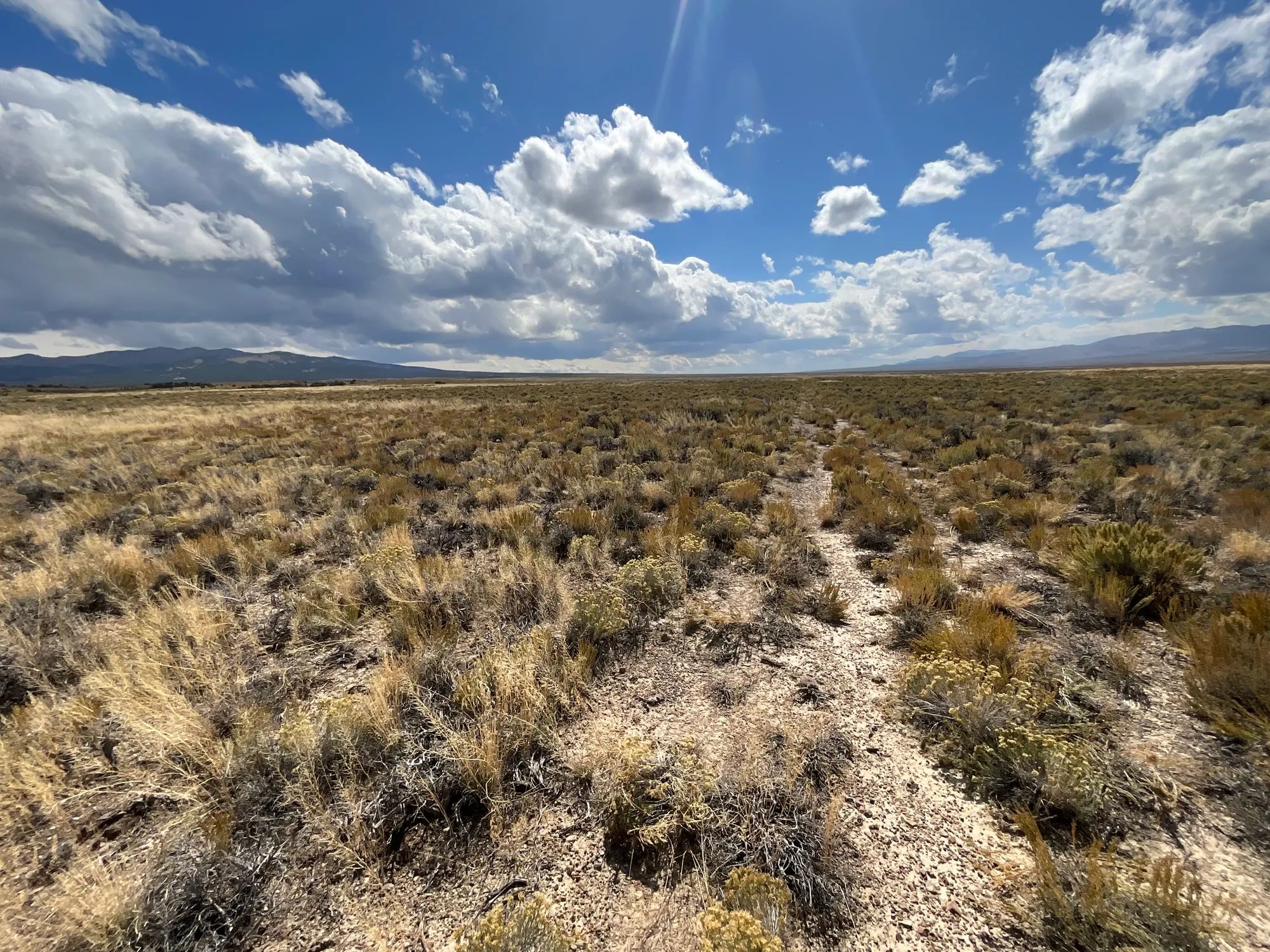 10 Acres in Elko County, NV in Elko County, NV