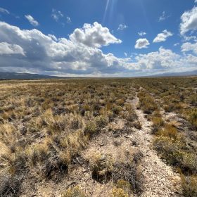 10 Acres in Elko County, NV in Elko County, NV