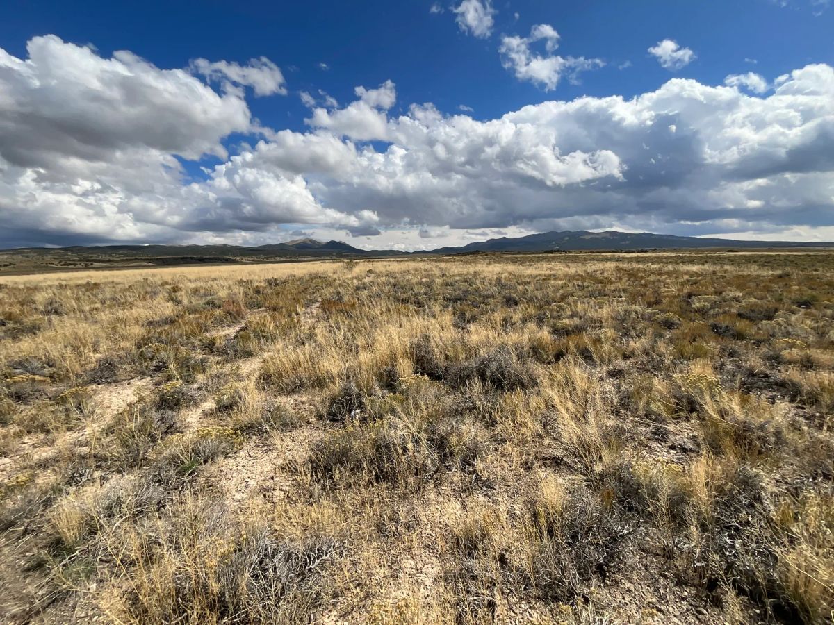 Decorative background for 10 Acres in Elko County, NV image 5