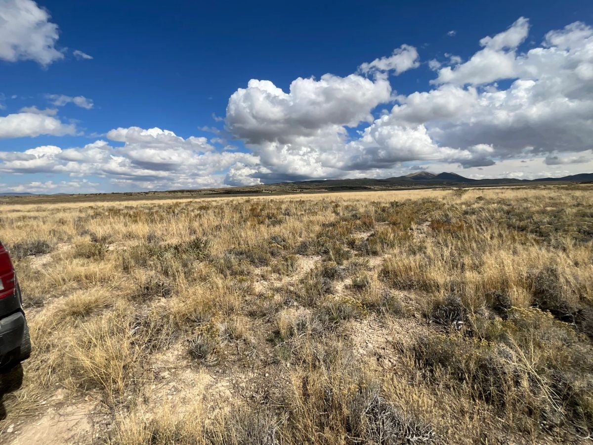 Decorative background for 10 Acres in Elko County, NV image 7