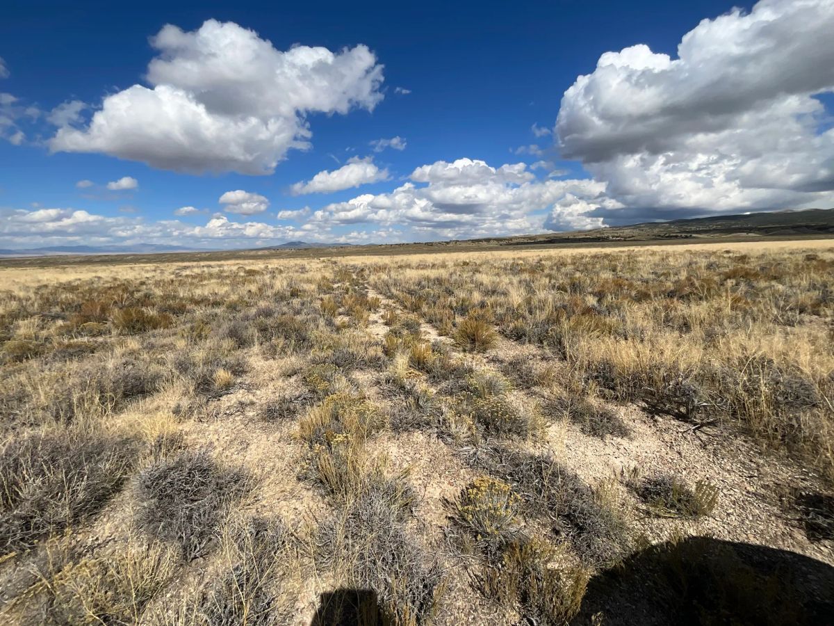 Decorative background for 10 Acres in Elko County, NV image 9