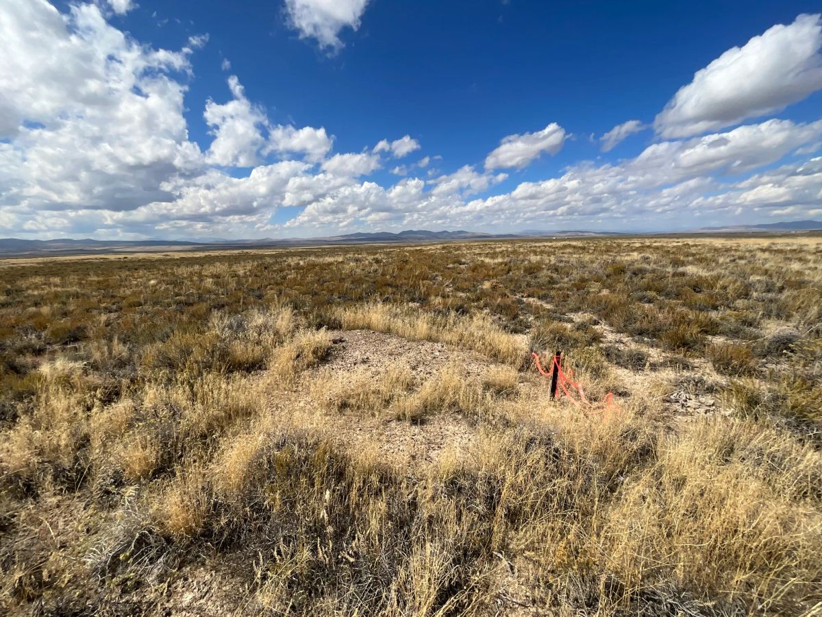 Decorative background for 10 Acres in Elko County, NV image 11