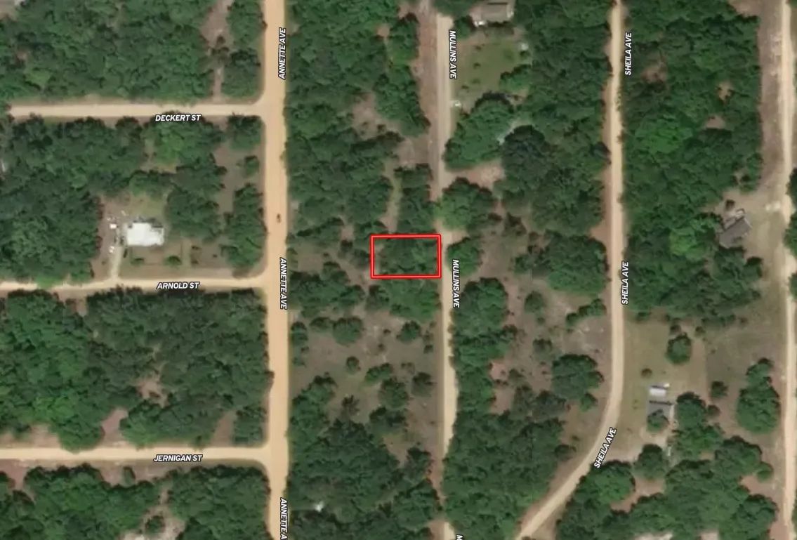0.22 Acres in Putnam County, FL - Image 3