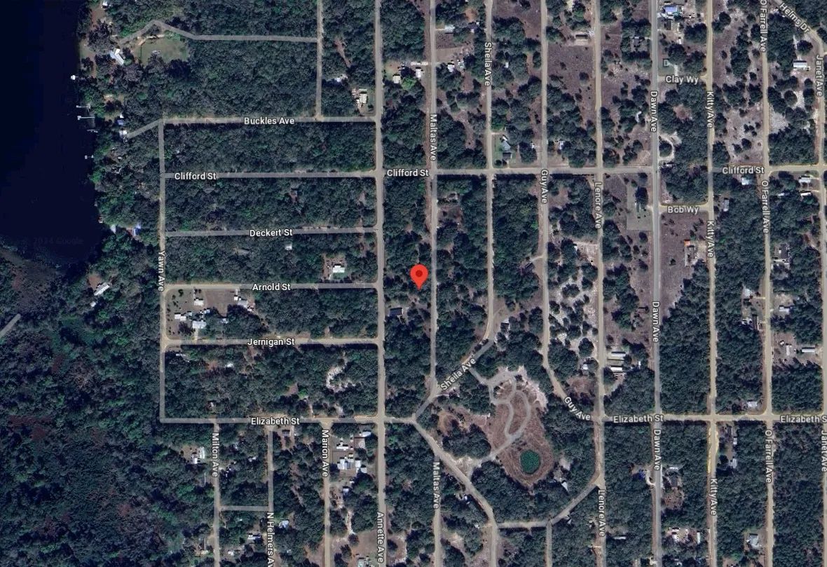 Decorative background for 0.22 Acres in Putnam County, FL image 5