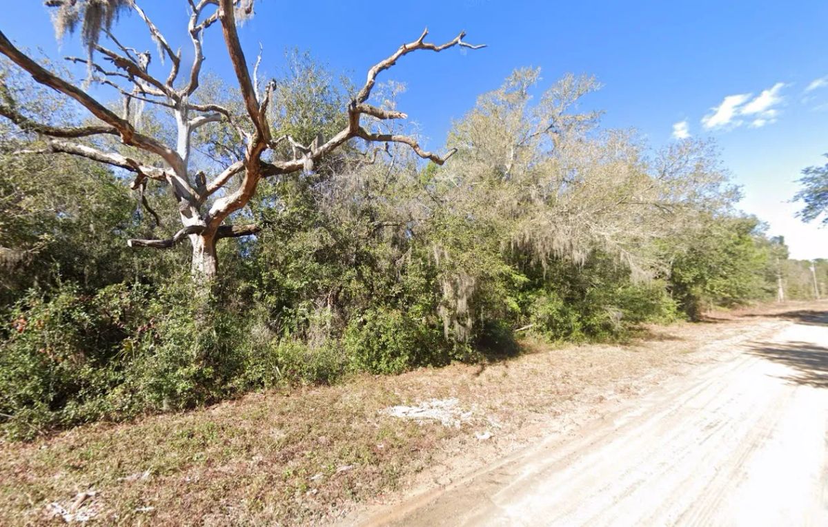 Decorative background for 0.22 Acres in Putnam County, FL image 11