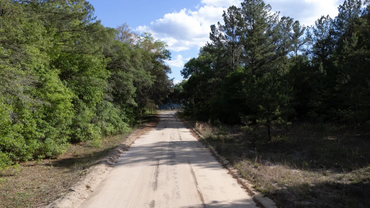 Decorative background for 0.22 Acres in Putnam County, FL image 12