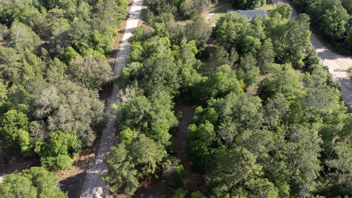 Decorative background for 0.22 Acres in Putnam County, FL image 15