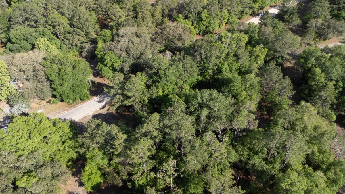Decorative background for 0.22 Acres in Putnam County, FL image 16
