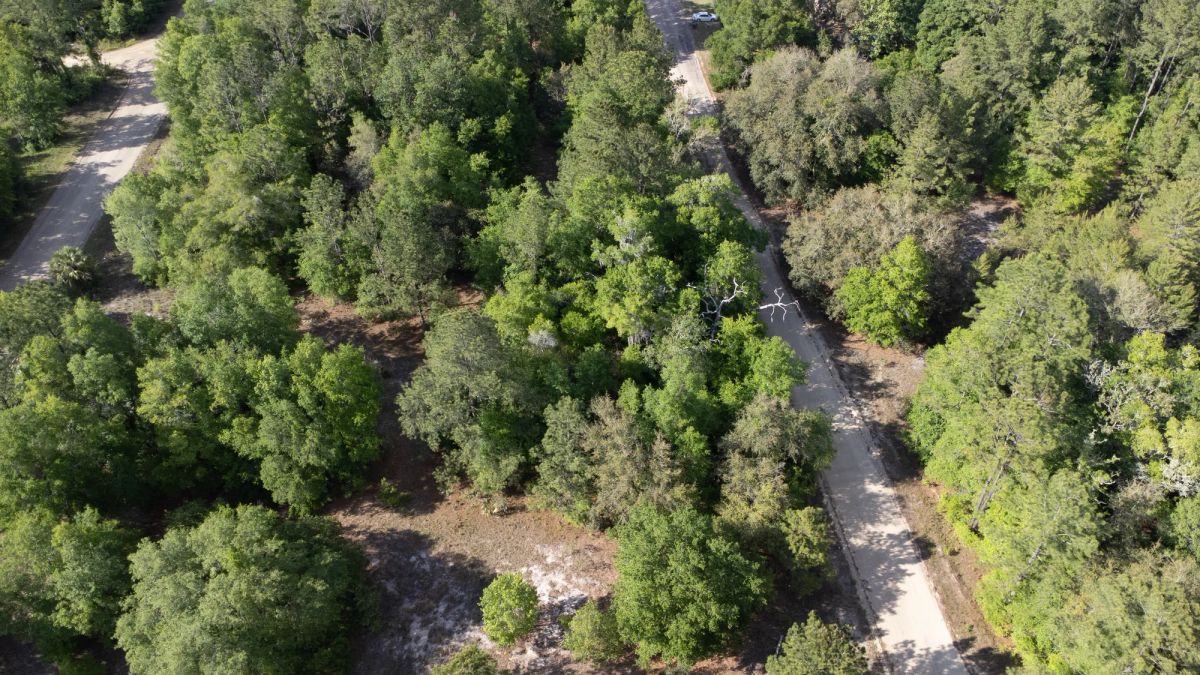Decorative background for 0.22 Acres in Putnam County, FL image 19