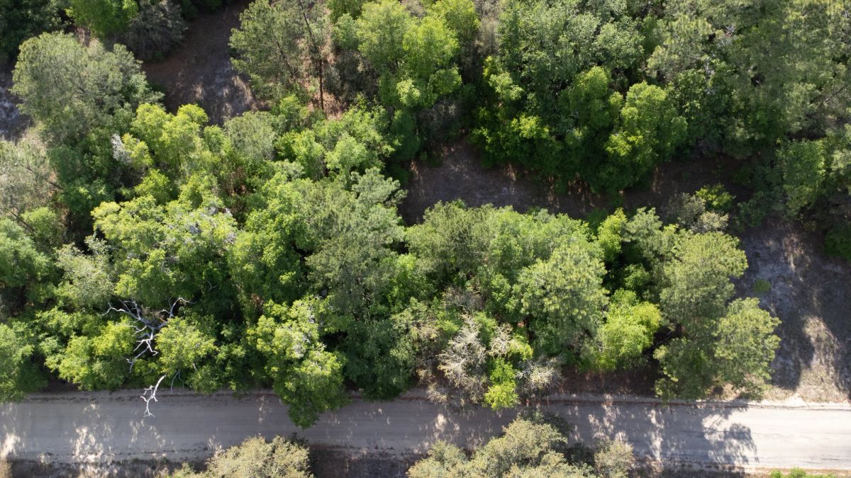 Decorative background for 0.22 Acres in Putnam County, FL image 21