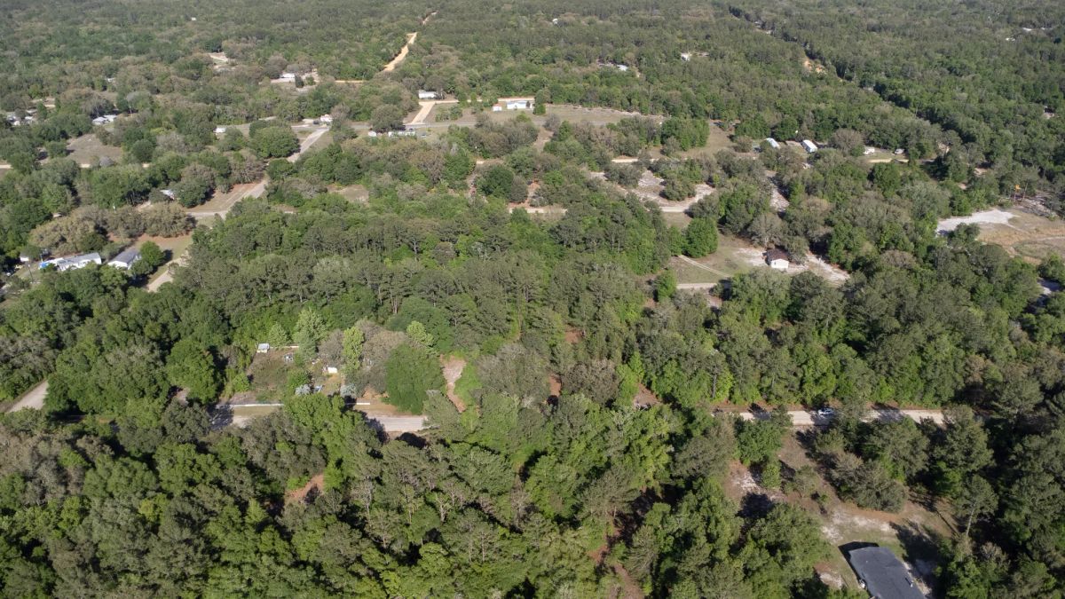 Decorative background for 0.22 Acres in Putnam County, FL image 26