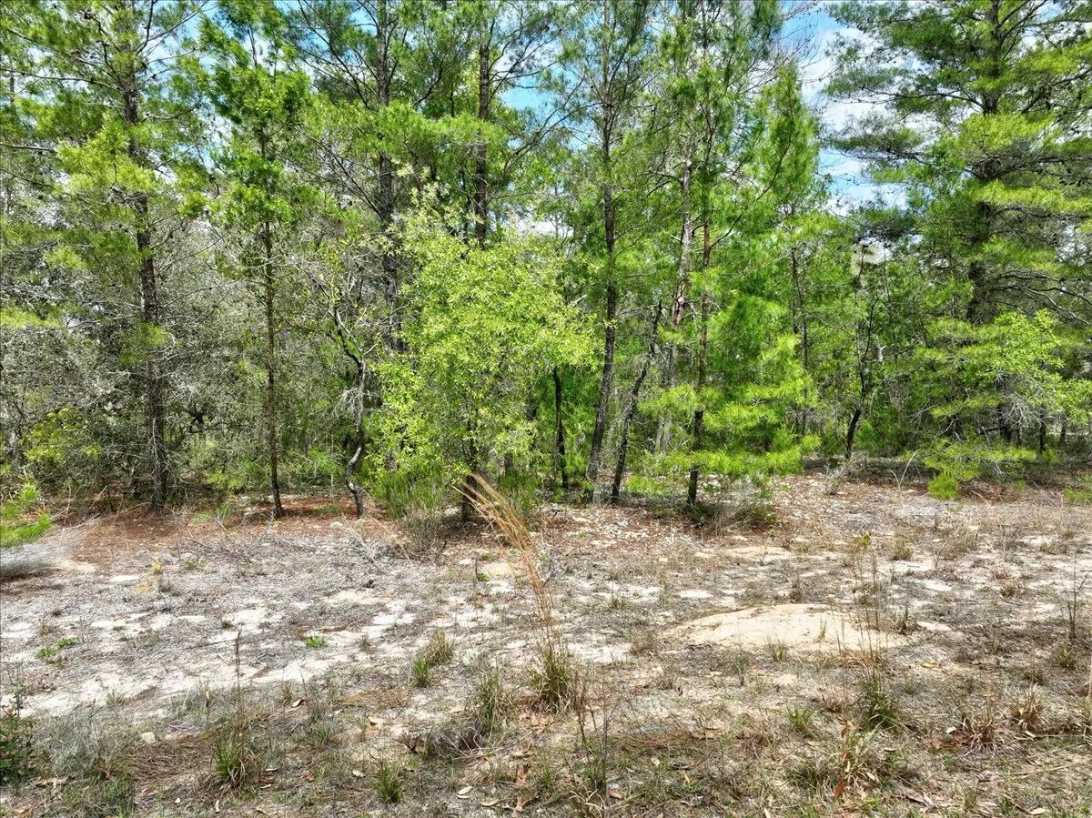 0.4 Acres in Putnam County, FL - Image 2