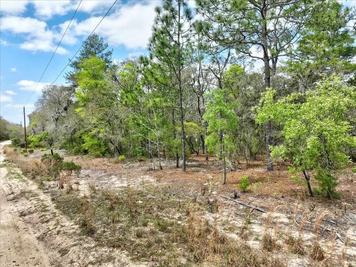 0.4 Acres in Putnam County, FL - Image 4