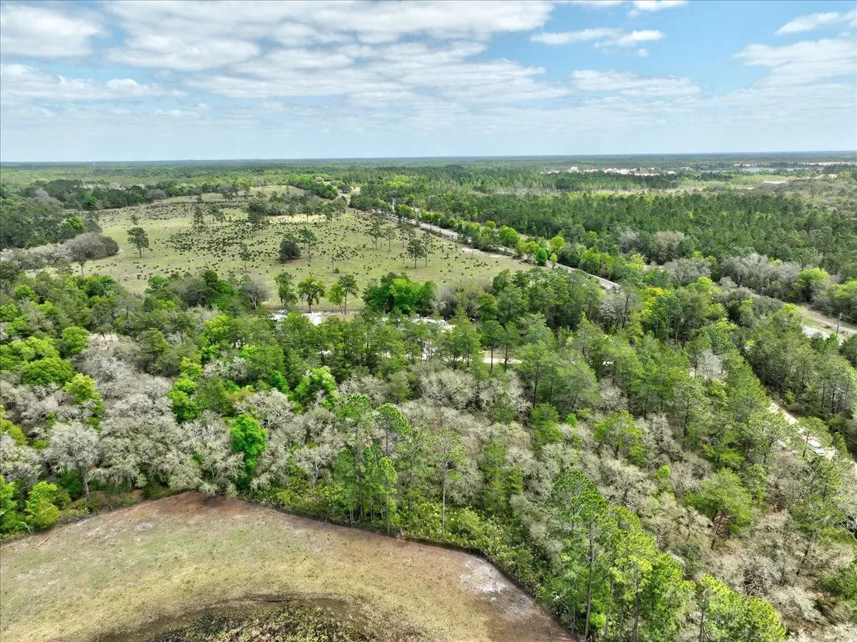 Decorative background for 0.4 Acres in Putnam County, FL image 5