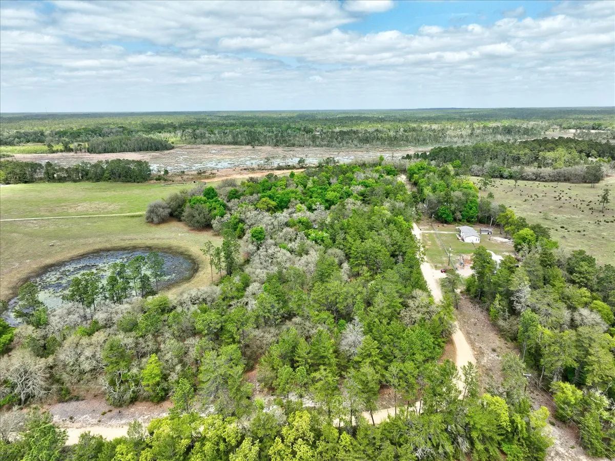 Decorative background for 0.4 Acres in Putnam County, FL image 7