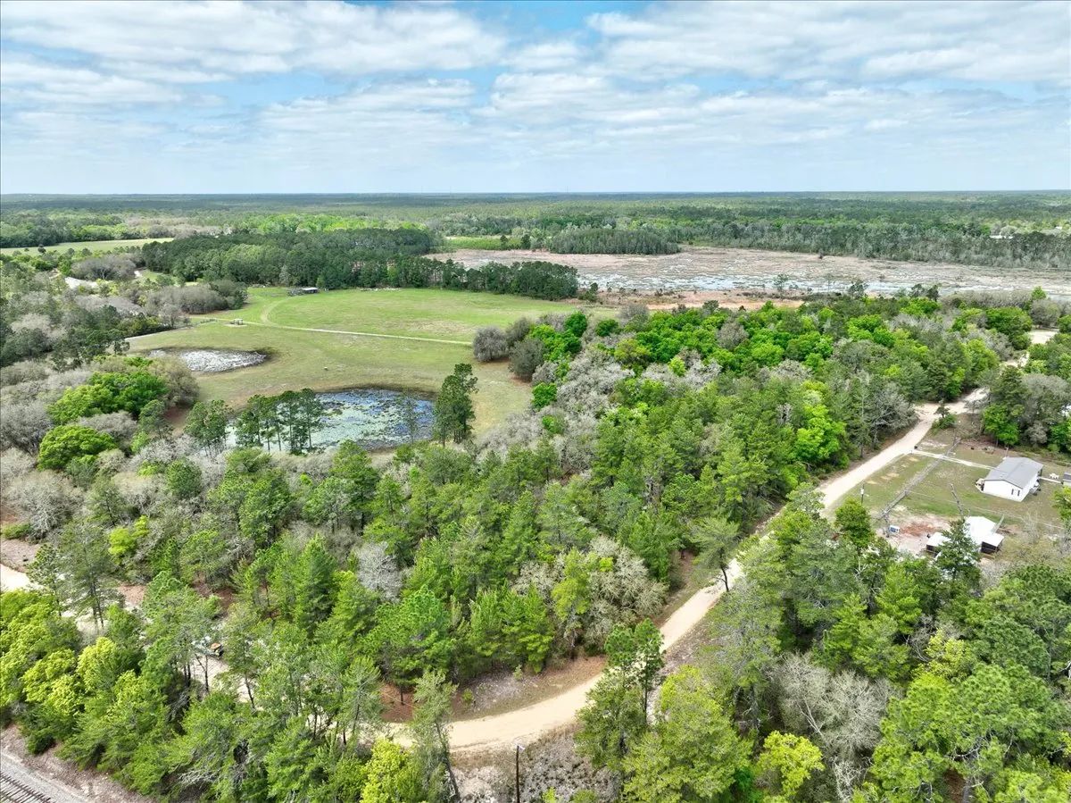 Decorative background for 0.4 Acres in Putnam County, FL image 8
