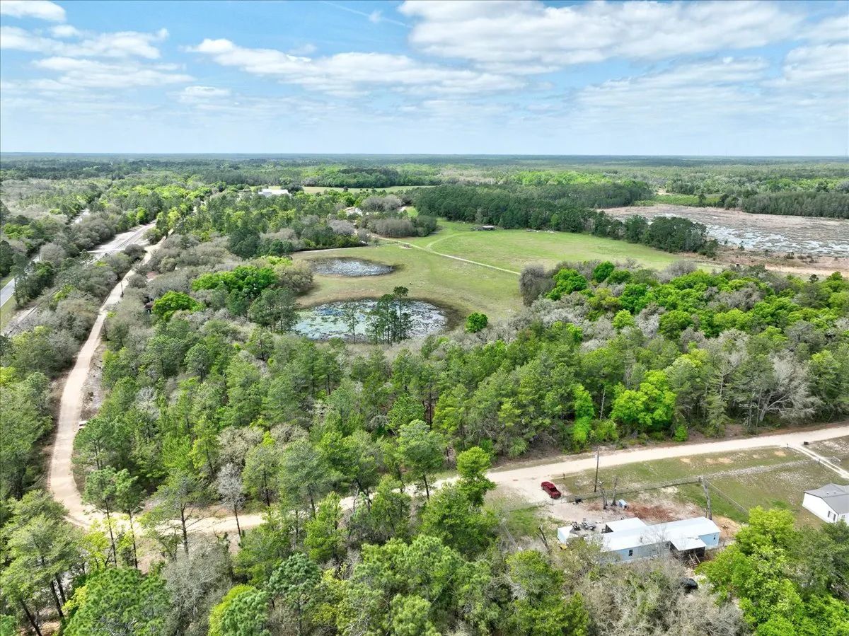 Decorative background for 0.4 Acres in Putnam County, FL image 9
