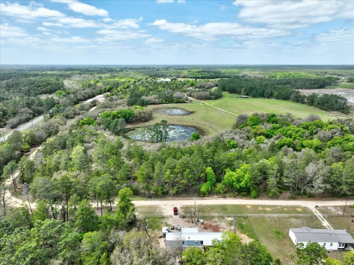 Decorative background for 0.4 Acres in Putnam County, FL image 10