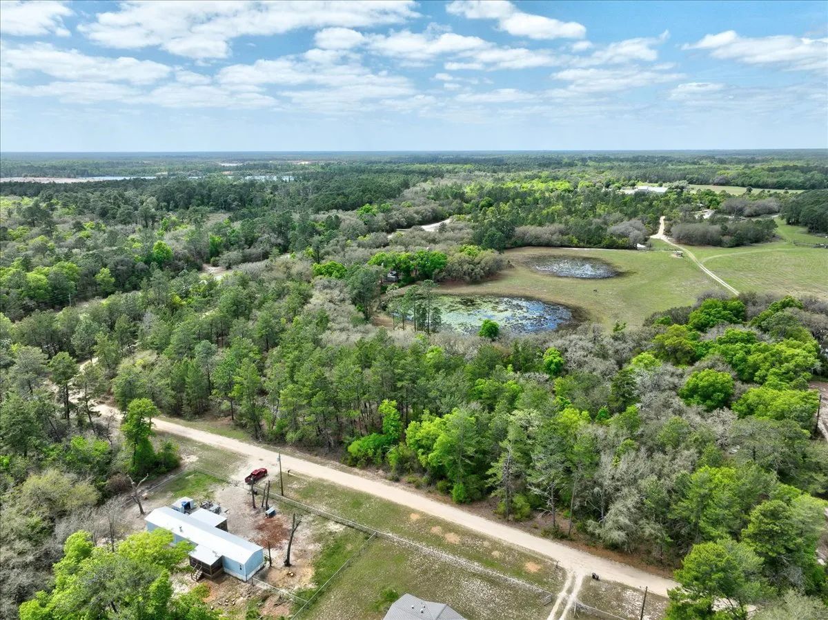 Decorative background for 0.4 Acres in Putnam County, FL image 11