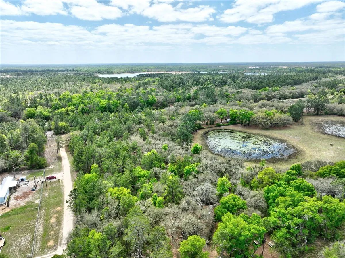 Decorative background for 0.4 Acres in Putnam County, FL image 12