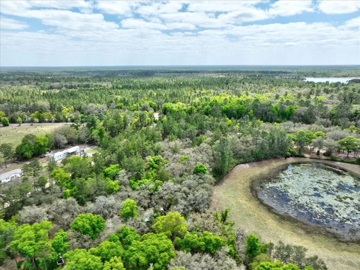 Decorative background for 0.4 Acres in Putnam County, FL image 13