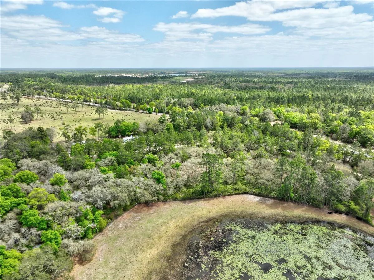 Decorative background for 0.4 Acres in Putnam County, FL image 14