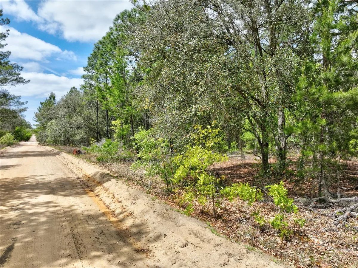Decorative background for 0.4 Acres in Putnam County, FL image 15