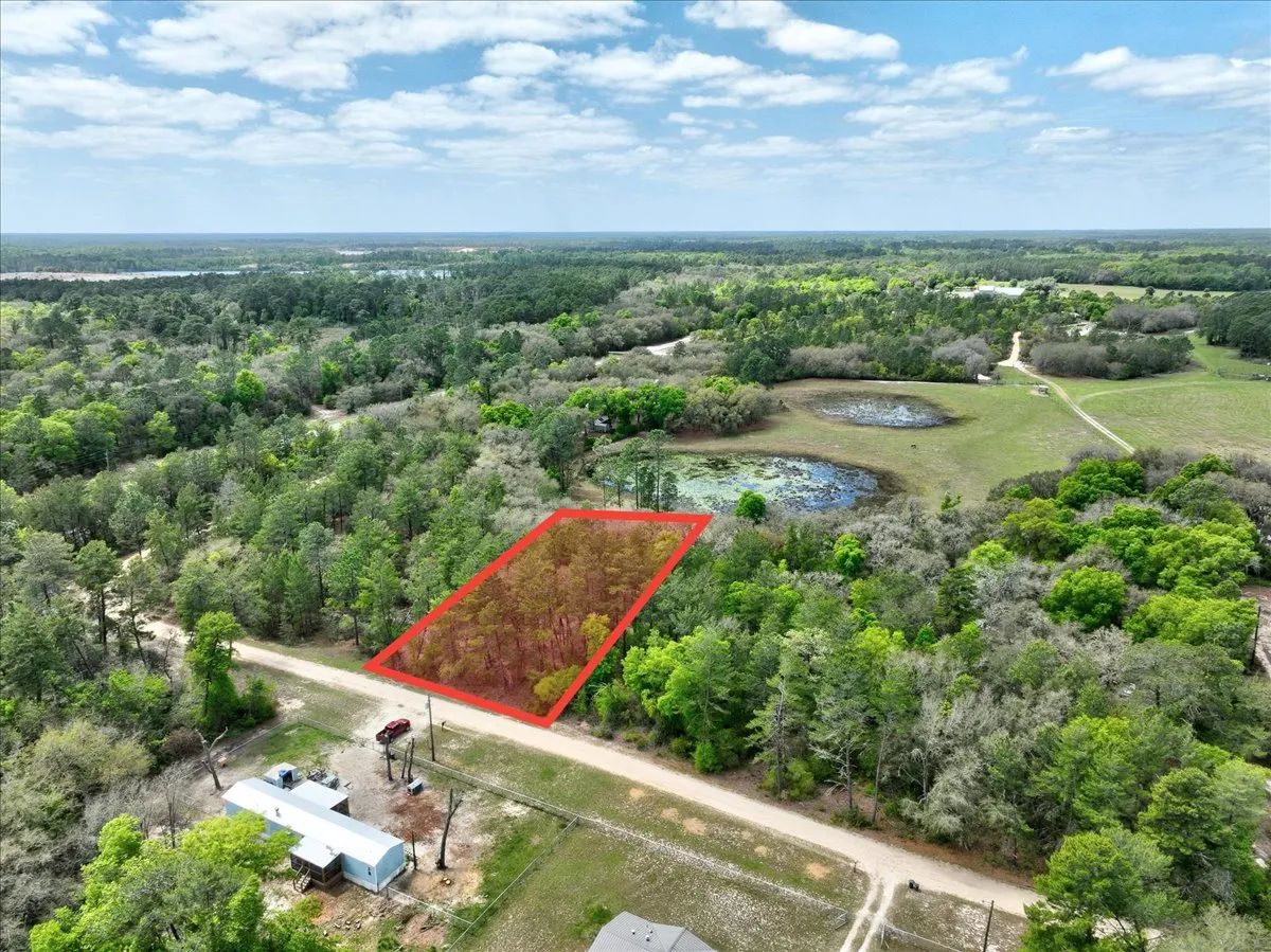 Decorative background for 0.4 Acres in Putnam County, FL image 16