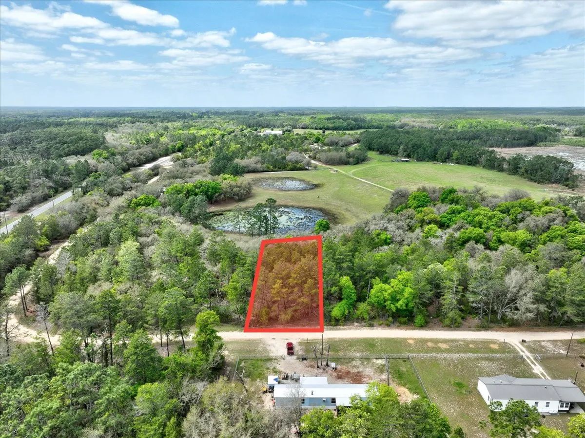 Decorative background for 0.4 Acres in Putnam County, FL image 17