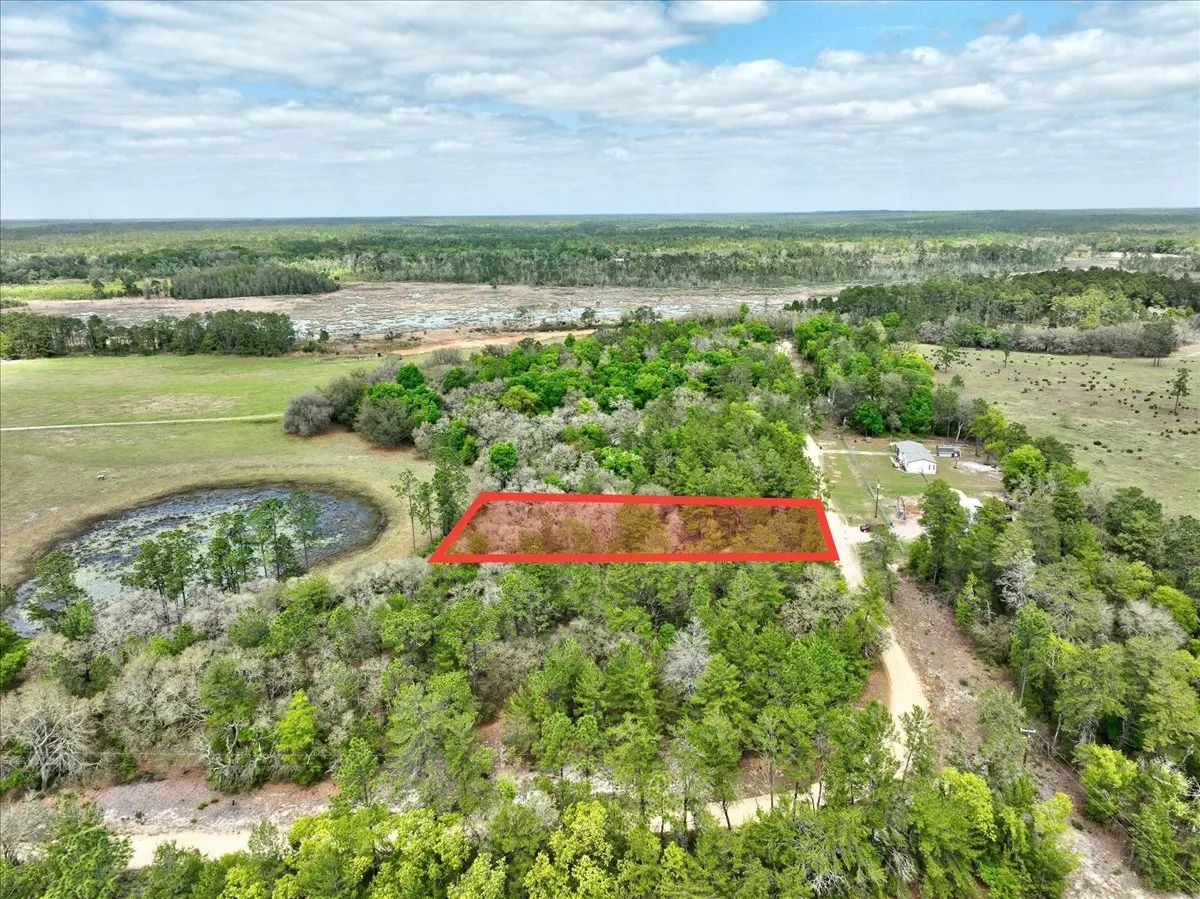 Decorative background for 0.4 Acres in Putnam County, FL image 18