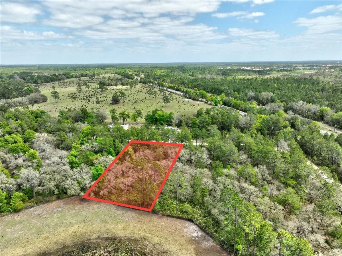 Decorative background for 0.4 Acres in Putnam County, FL image 19