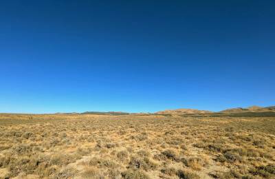 40 Acres in Elko County, NV