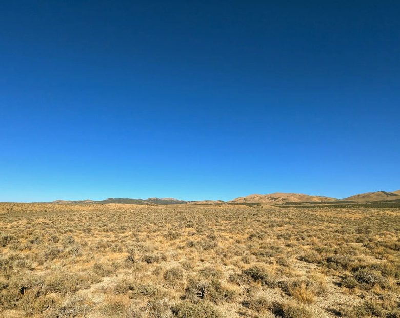 40 Acres in Elko County, NV in Elko County, NV