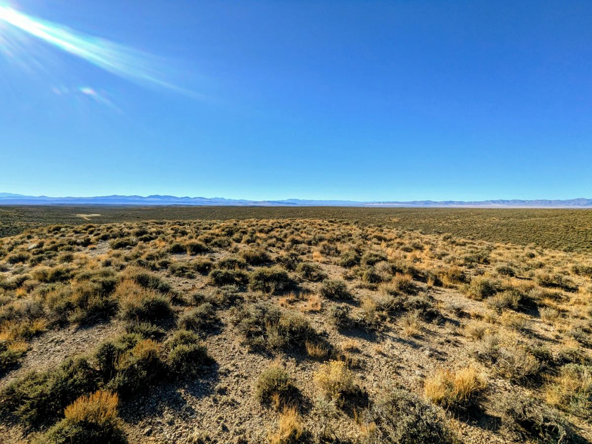40 Acres in Elko County, NV - Image 2