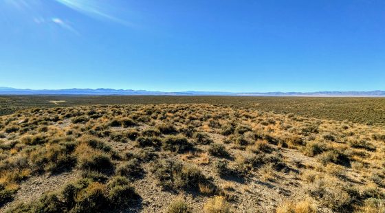 40 Acres in Elko County, NV in Elko County, NV