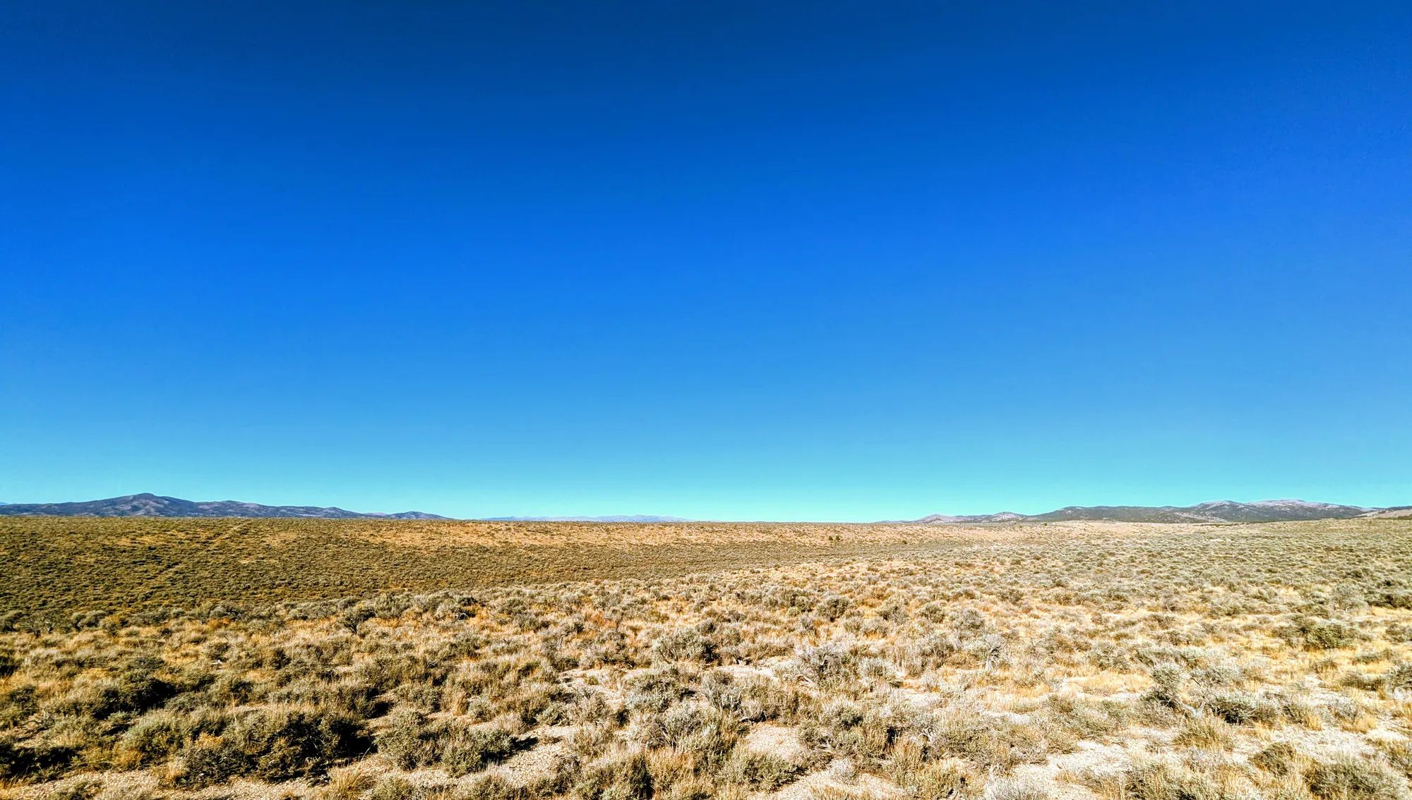 40 Acres in Elko County, NV in Elko County, NV