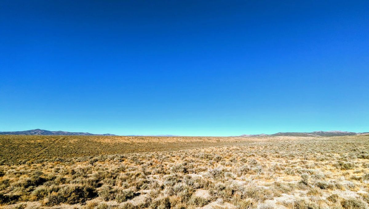 40 Acres in Elko County, NV - Image 3