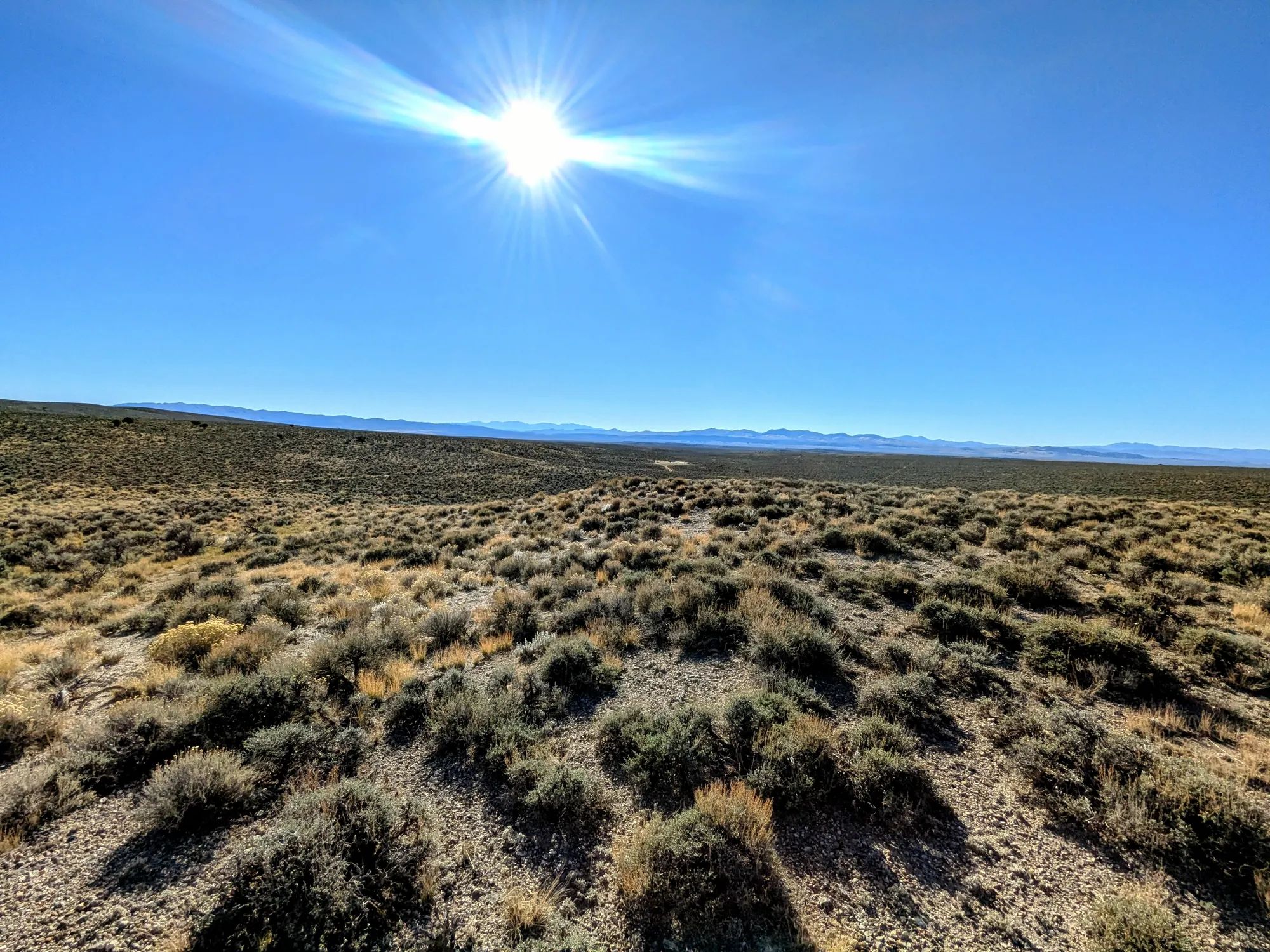 40 Acres in Elko County, NV in Elko County, NV