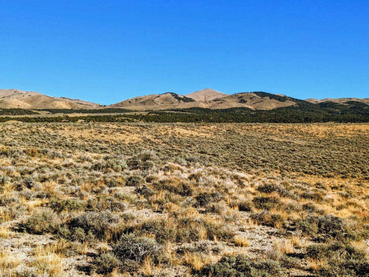 Decorative background for 40 Acres in Elko County, NV image 6