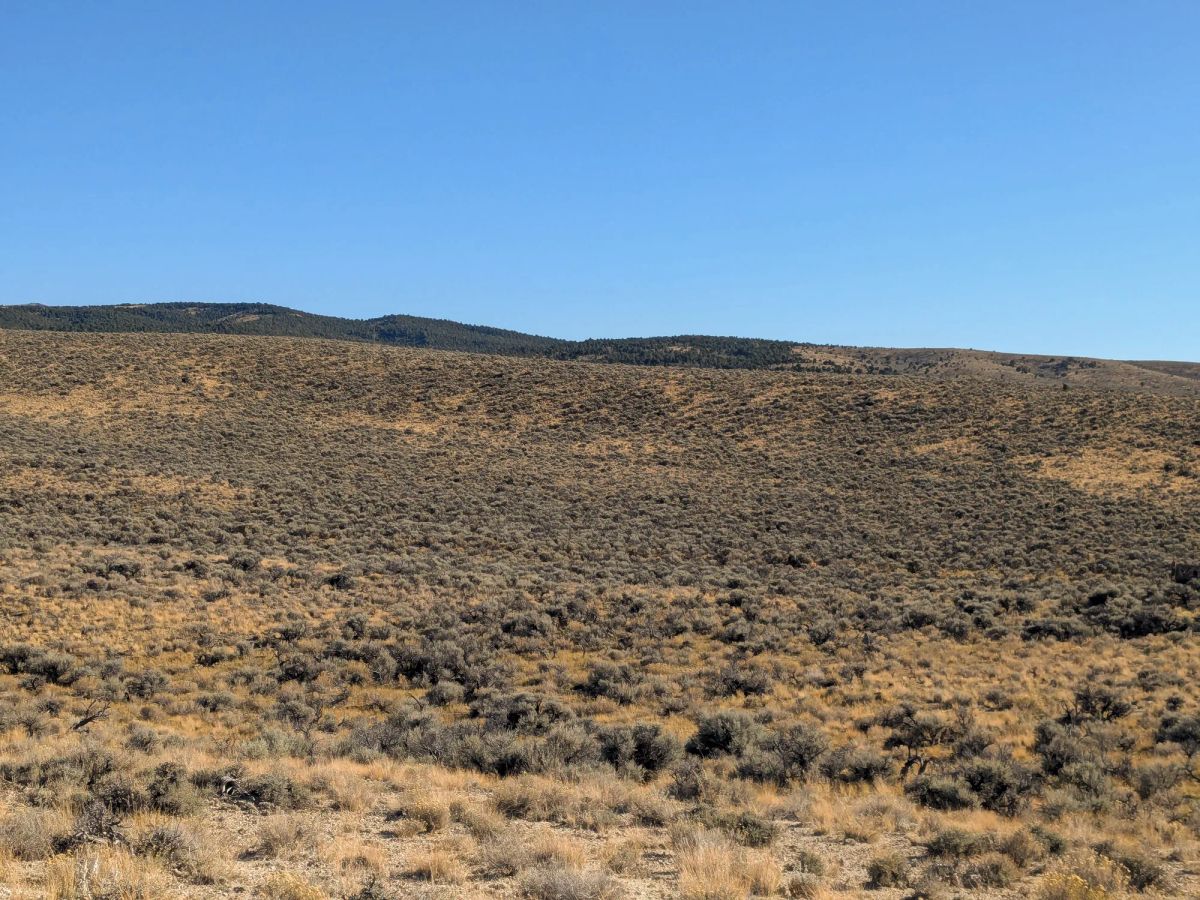 Decorative background for 40 Acres in Elko County, NV image 7