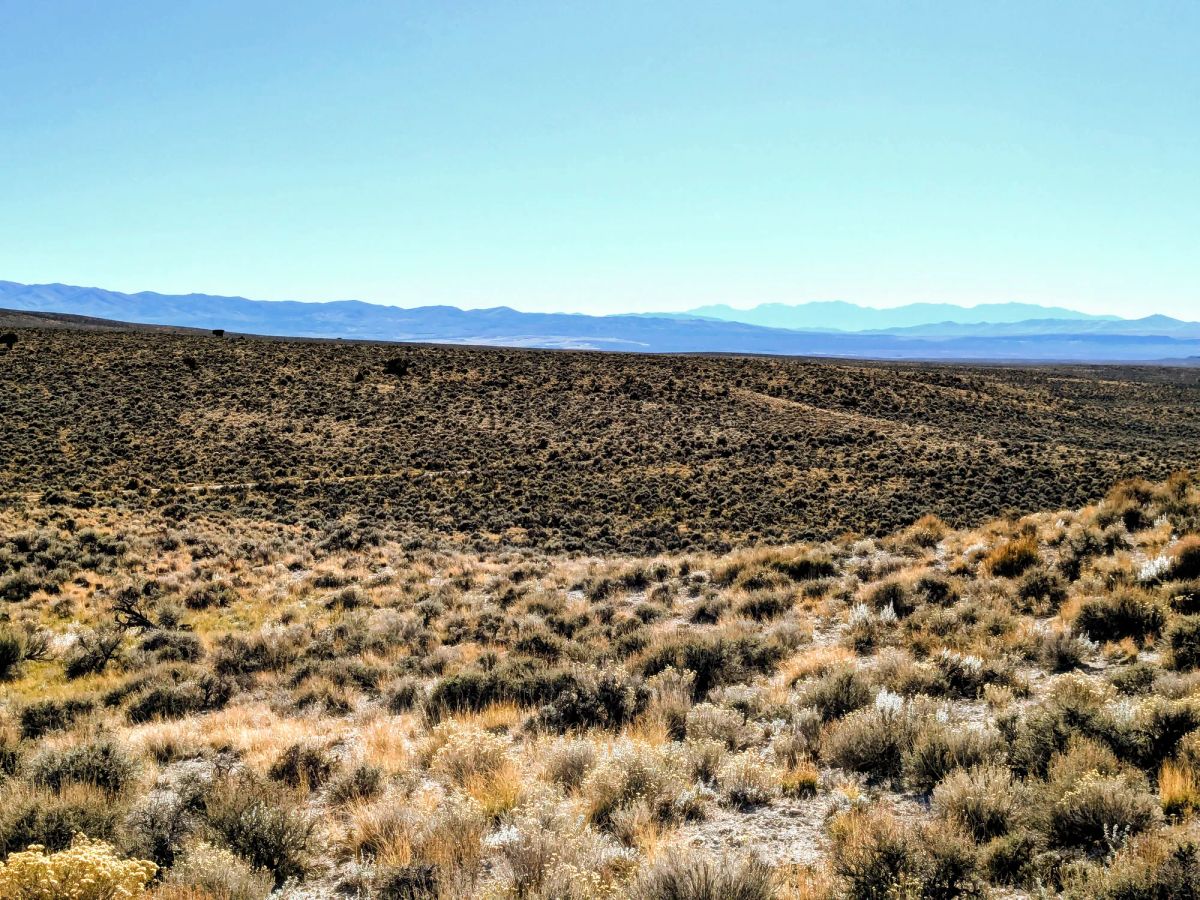 Decorative background for 40 Acres in Elko County, NV image 8