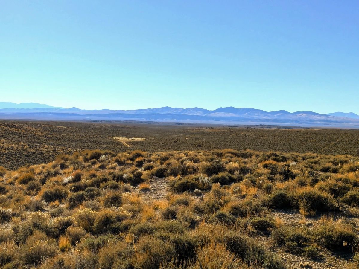 Decorative background for 40 Acres in Elko County, NV image 9