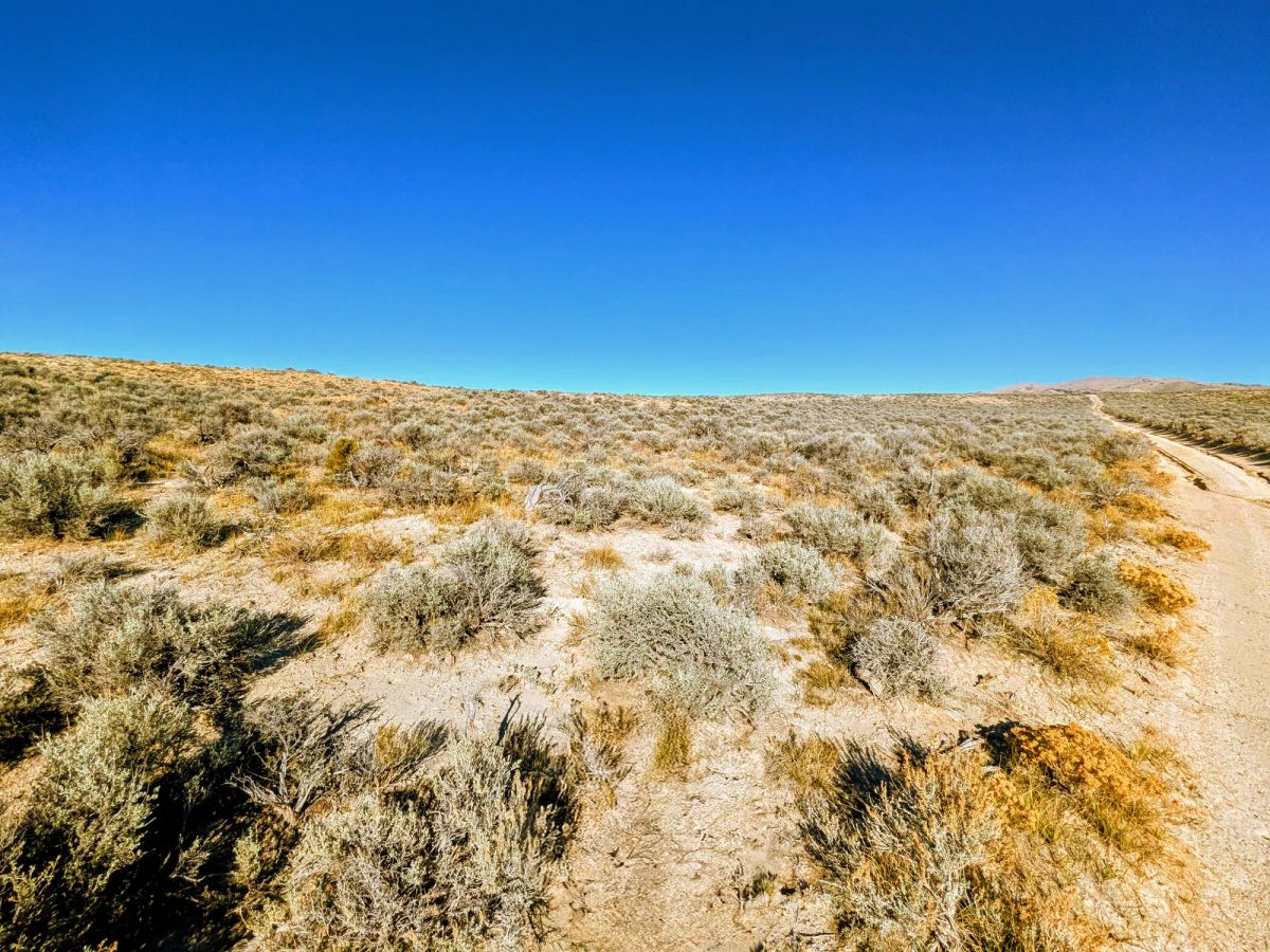 Decorative background for 40 Acres in Elko County, NV image 10
