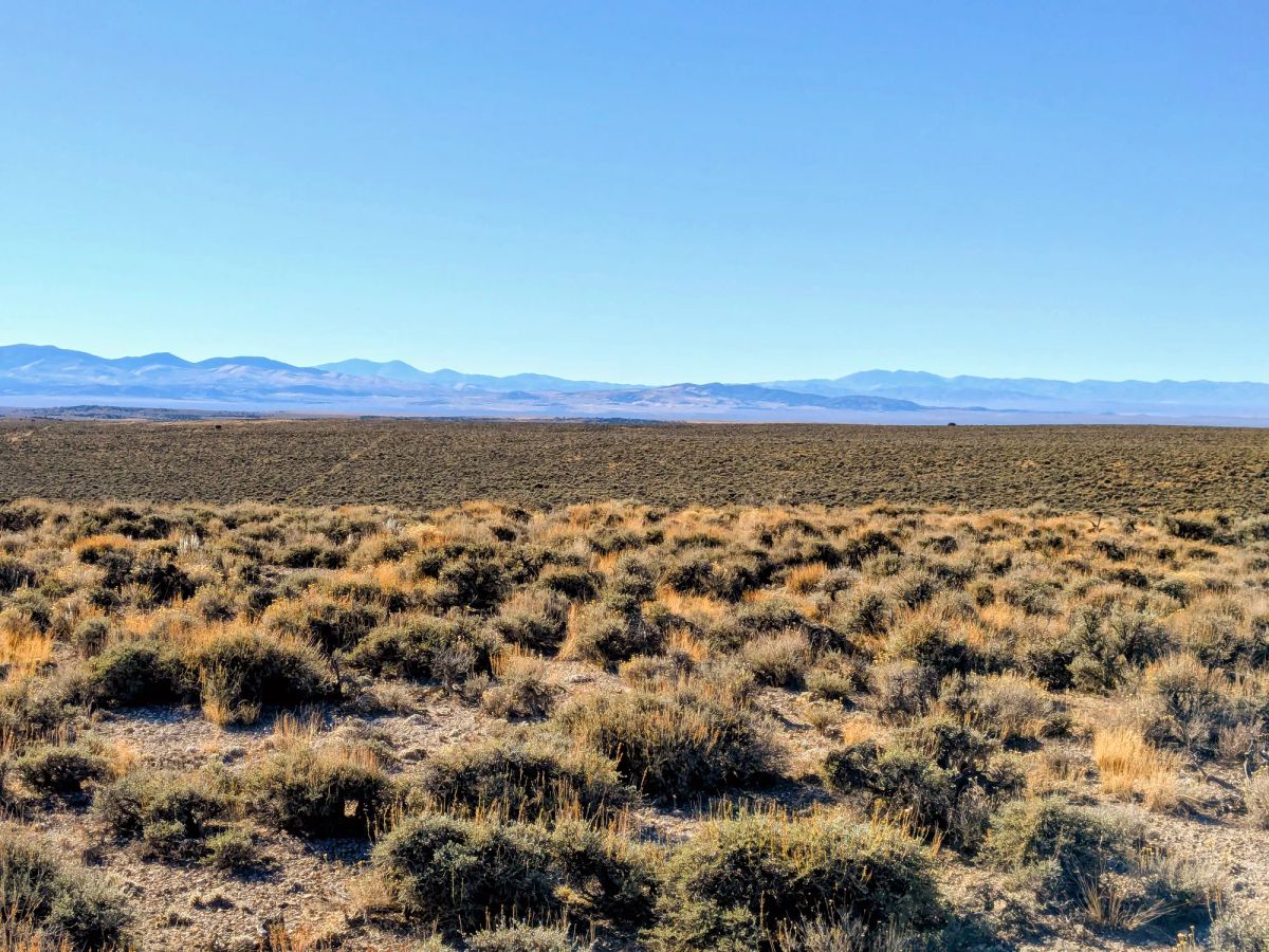 Decorative background for 40 Acres in Elko County, NV image 11