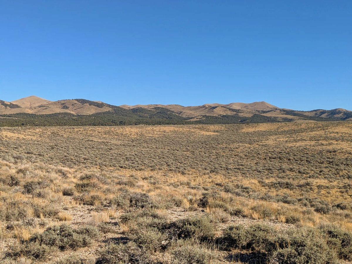 Decorative background for 40 Acres in Elko County, NV image 13