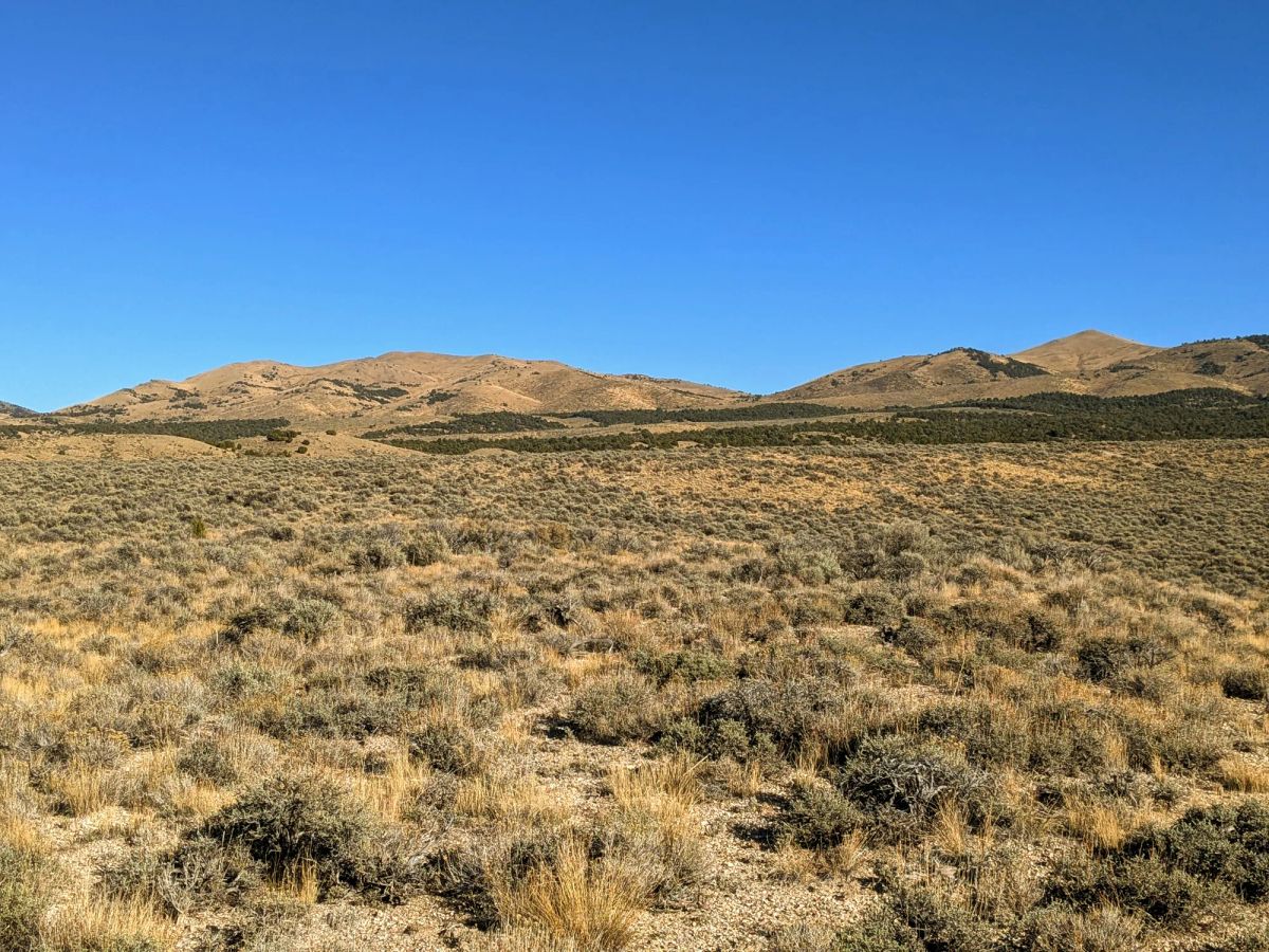 Decorative background for 40 Acres in Elko County, NV image 14