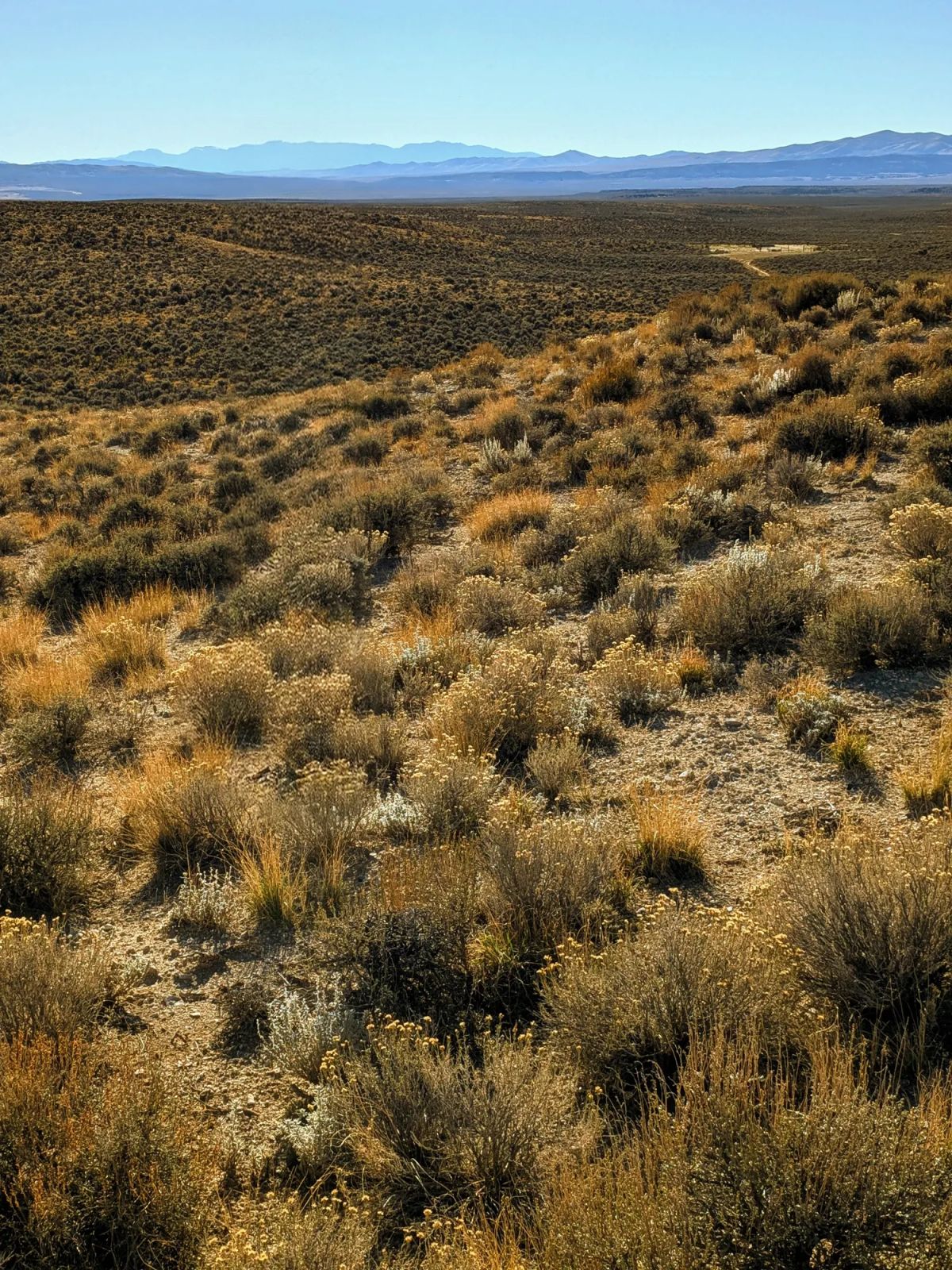 Decorative background for 40 Acres in Elko County, NV image 16