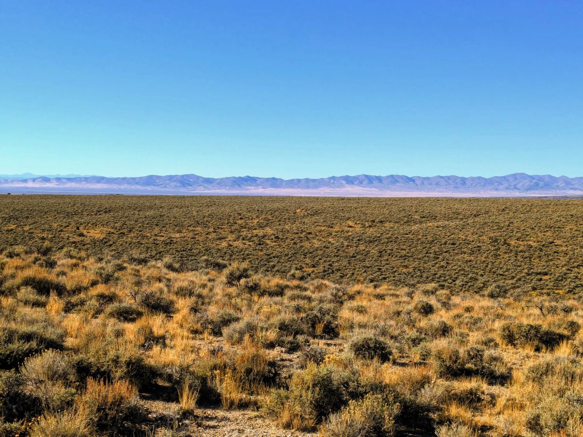 Decorative background for 40 Acres in Elko County, NV image 17