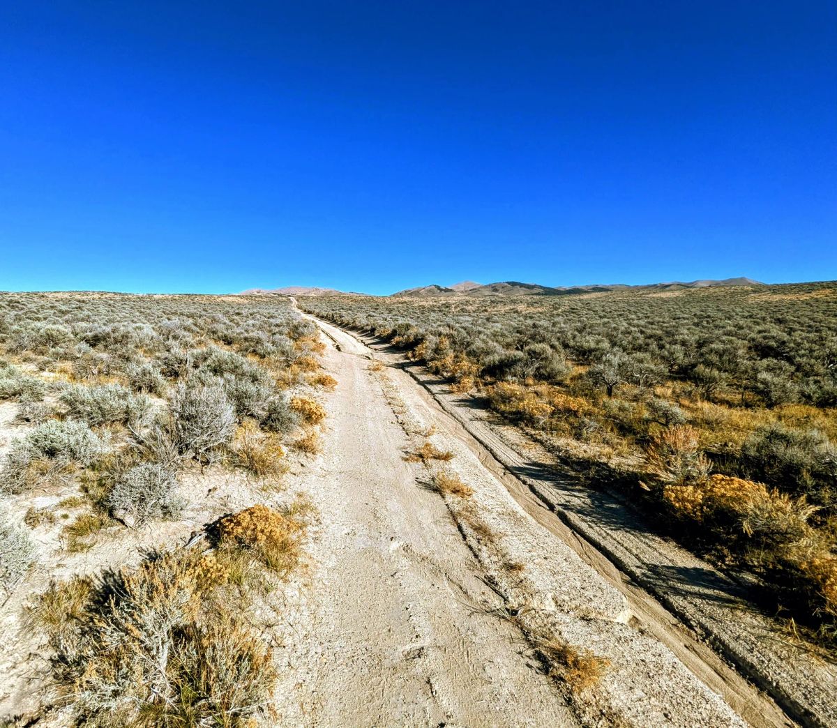 Decorative background for 40 Acres in Elko County, NV image 18