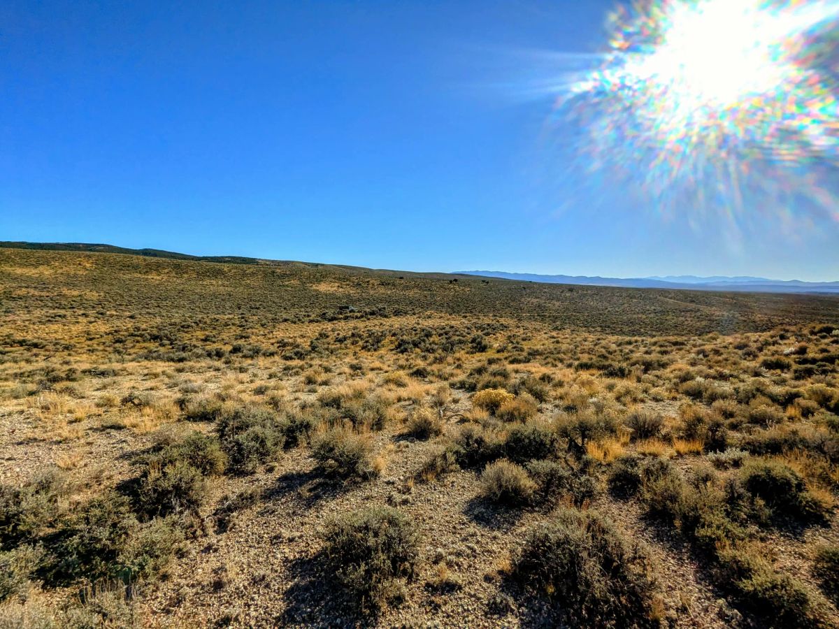 Decorative background for 40 Acres in Elko County, NV image 19